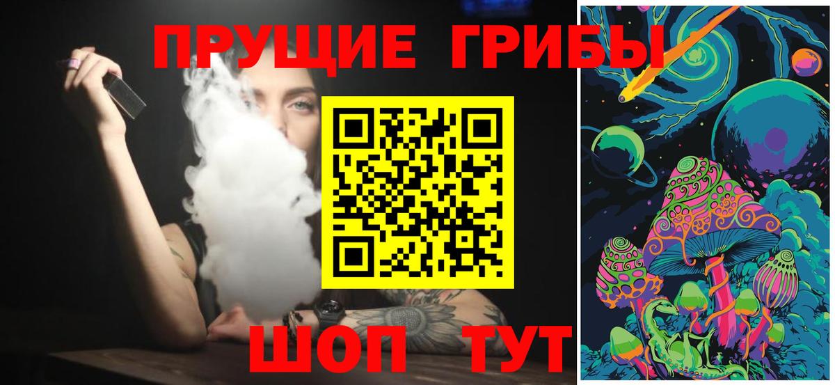Псилоцибиновые грибы Cubensis Черногорск