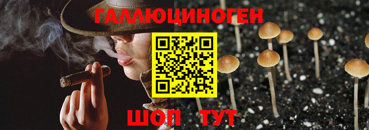 Псилоцибиновые грибы ЛСД  Галлюциногенные грибы GOLDEN TEACHER  Черногорск  где продают наркотики  Вход с VPN 
